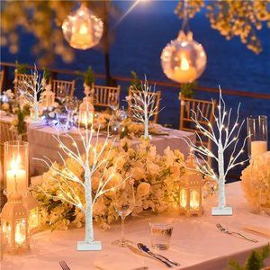 Set of 4 Birch Tree 2Ft Tabletop Christmas Tree with Lights 24 Warm White LED